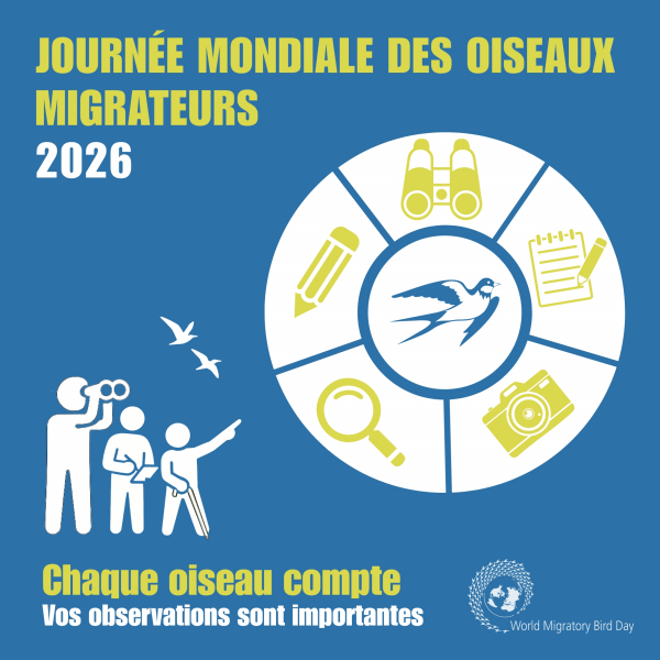 WMBD_2026_Theme_Announcement_Graphic_FR